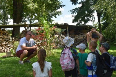 Zielono mi... EkoWakacje z Domem Kultury 2025